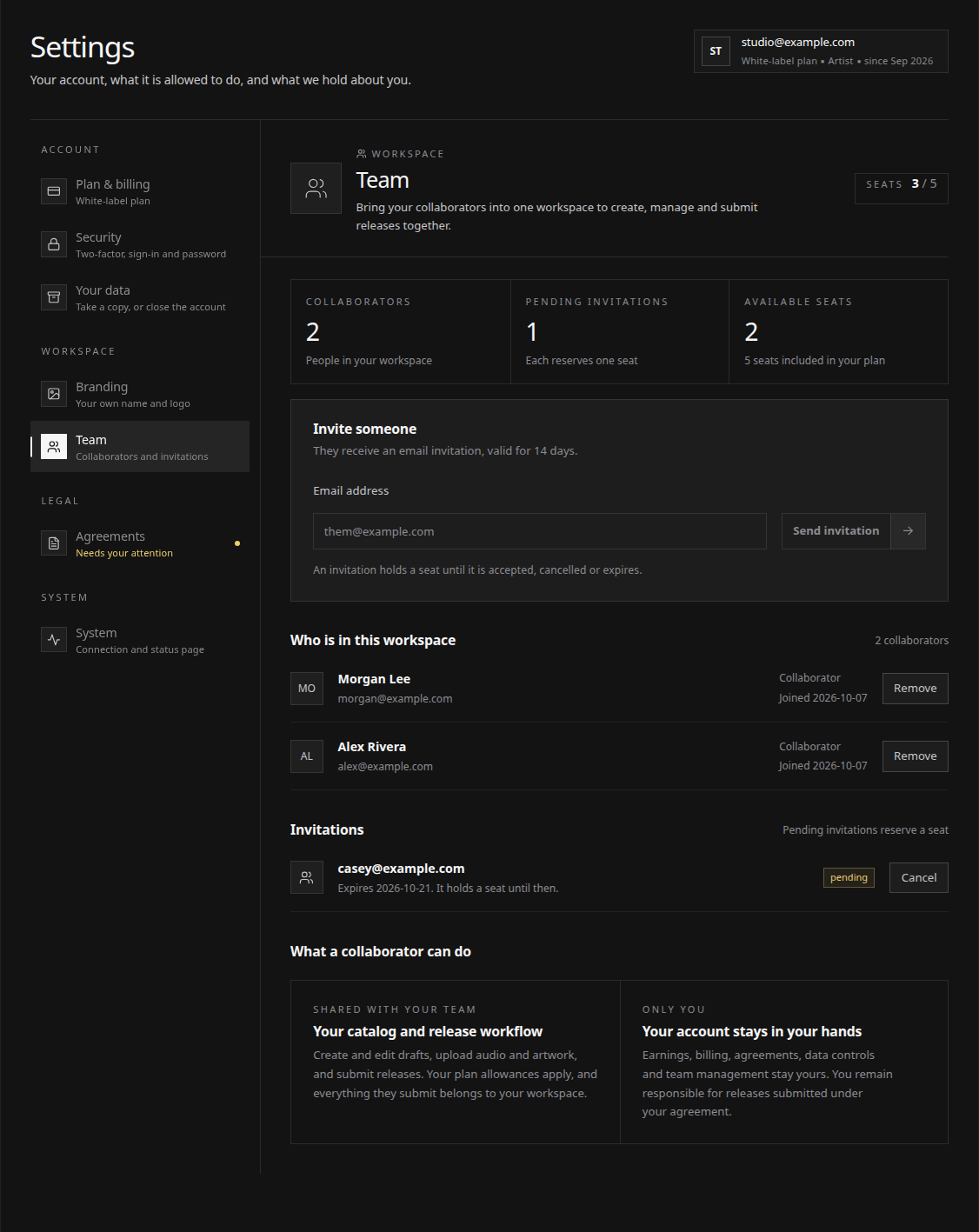 The Team settings section with seat usage, invitation controls and workspace members